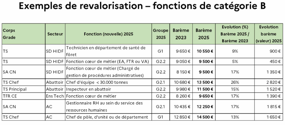 IFSE catégorie B